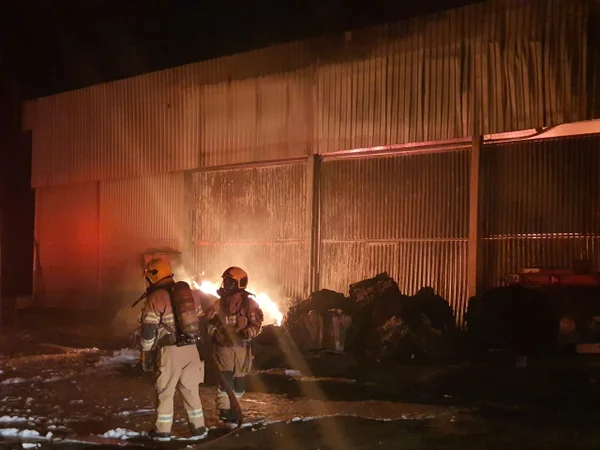 Incêndio em galpão de materiais recicláveis mata quatro cães no DF