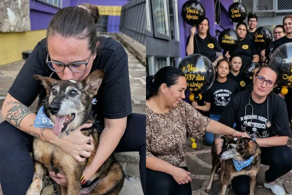montagem de festa de despedida para cachorro adotado