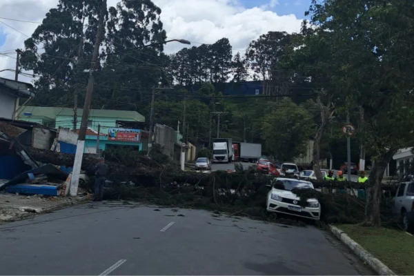 Corpo de Bombeiros recebeu mais de 500 chamados para queda de árvores. Carros, ônibus e vias ficaram bloqueados após a ventania. Enel deixa 2 milhões sem luz - Metrópoles