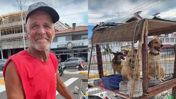 Para proteger seus 3 cães, catador constrói carrinho com sombra e água