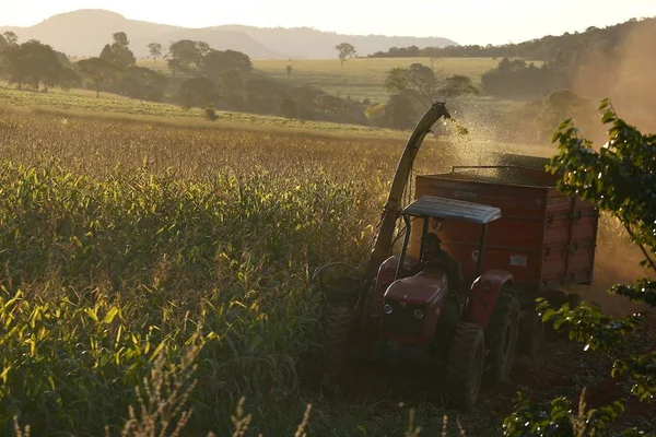 Atividade em propriedade rural em Goiás