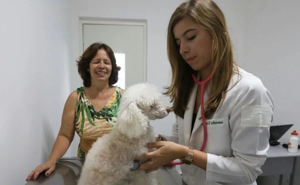 Pets: Distrito Federal ganha o primeiro Hospital Veterinário Público