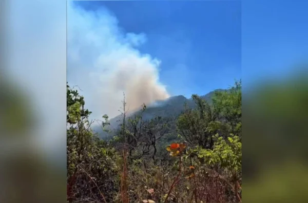 imagem colorida incendio chapada dos veadeiros