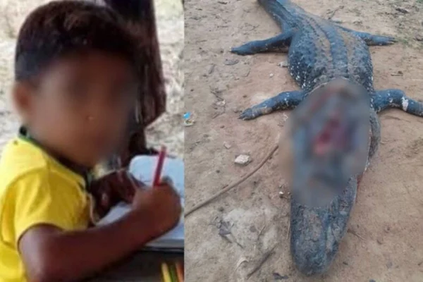 Jacaré que matou o pequeno Joelson acabou morto pelo pai do menino