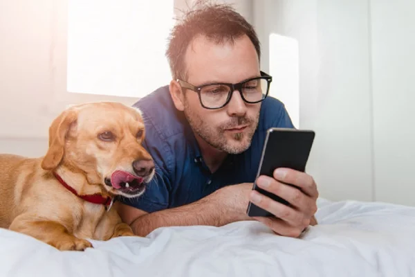 Cachorro e tutor no celular pets