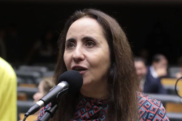 A deputada Adriana Ventura (Novo-SP)