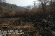 Depois da Amazônia, o Cerrado foi o bioma mais afetado
