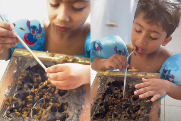 Vídeo: menino viraliza ao tomar mel direto da colmeia, com canudinho