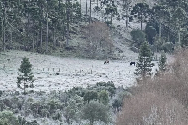 Imagem colorida, Bom Jardim da Serra- Metrópoles