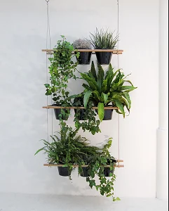 Hangers podem ser muito elaborados e comportar mais de um vaso Hangers podem ser muito elaborados e comportar mais de um vaso