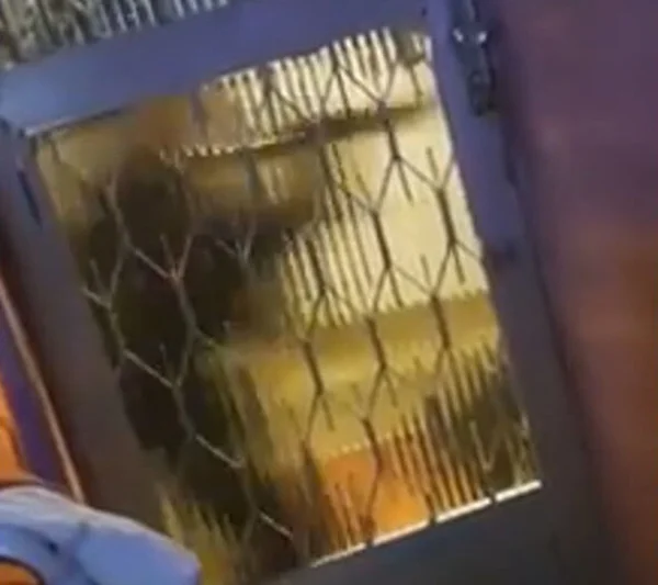 Mãe vê homens com fuzis em frente de casa e manda criança “calar a boca”