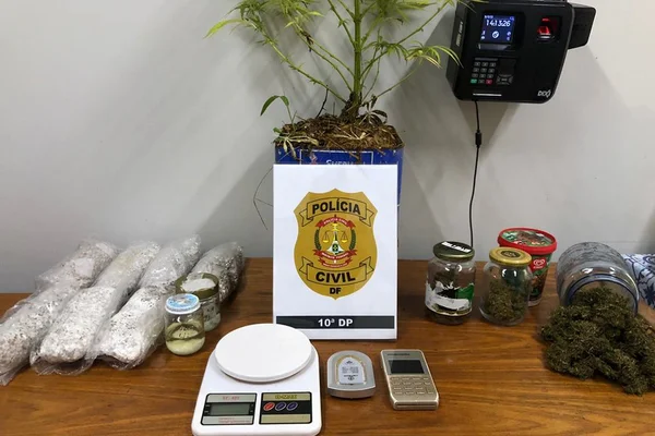 Morador do Lago Sul é preso com “cogumelos mágicos”, maconha e munição
