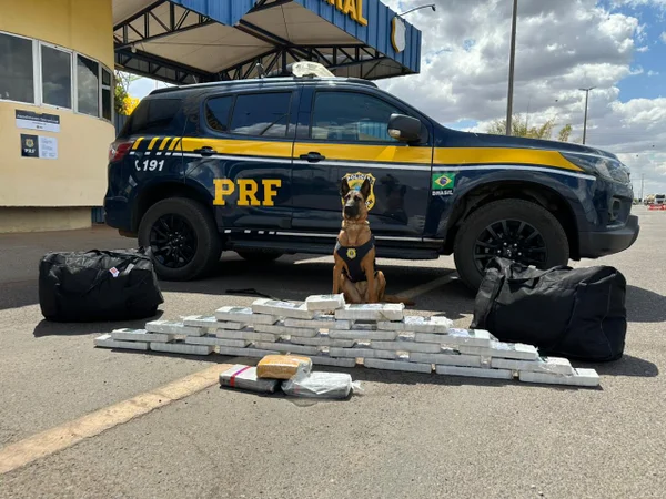 Carro, cachorro e pacotes de drogas - Metrópoles