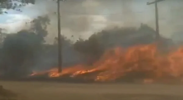 Vídeo: incêndio e ventania em área urbana assustam em Caldas Novas