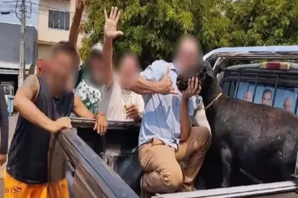 Suspeitos encima da traseira do carro, com um bode - Metrópoles