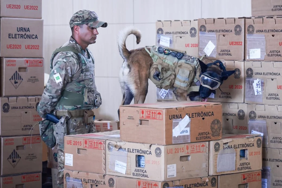 Cães farejadores da PMDF vistoriam urnas eletrônicas a 5 dias do 2° turno - imagem 3 Cães farejadores da PMDF vistoriam urnas eletrônicas a 5 dias do 2° turno - imagem 3