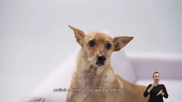 Vira-lata Caramelo anuncia, em comercial, nova cédula de R$ 200