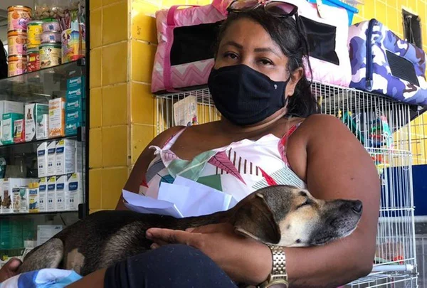 Cachorro é baleado e tutora acusa policial militar de atirar contra o anima