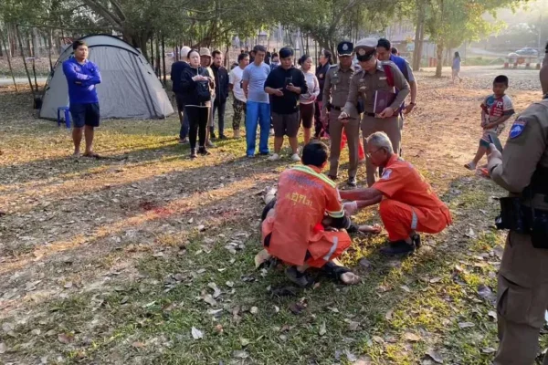 Elefante pisoteia e mata três pessoas em parque na Tailândia
