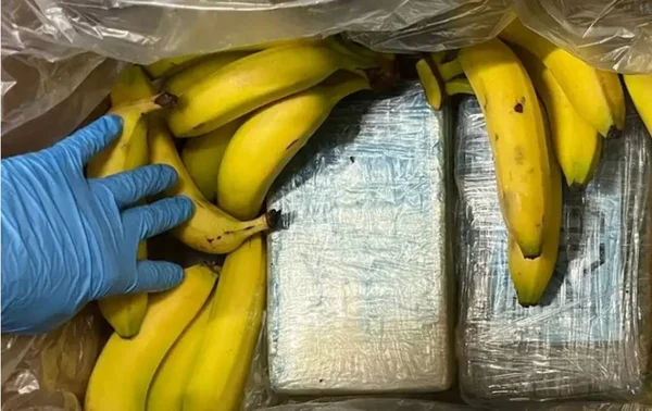 Imagem colorida de Bananas com cocaína na Alemanha