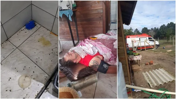 Ataque de abelhas deixa vítima com 450 ferroadas e mata dois cães