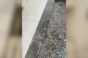 Piso tátil para pessoas com deficiência visual quebrado na Rua Marconi Piso tátil para pessoas com deficiência visual quebrado na Rua Marconi