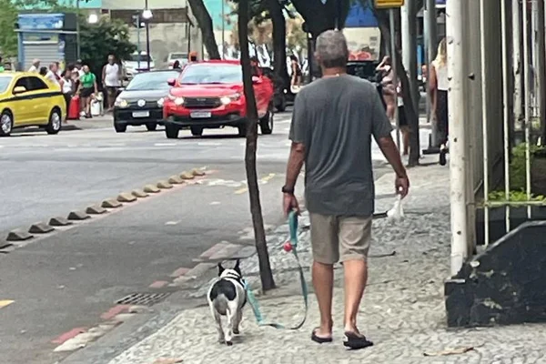 Walter Braga Netto