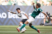 O Verdão está em quinto lugar na tabela do Brasileirão