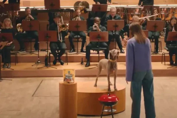 Rabos de cachorros regendo uma orquestra