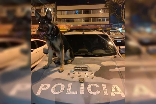 Filhote treinado pela PMDF localiza maconha em 1ª operação da carreira