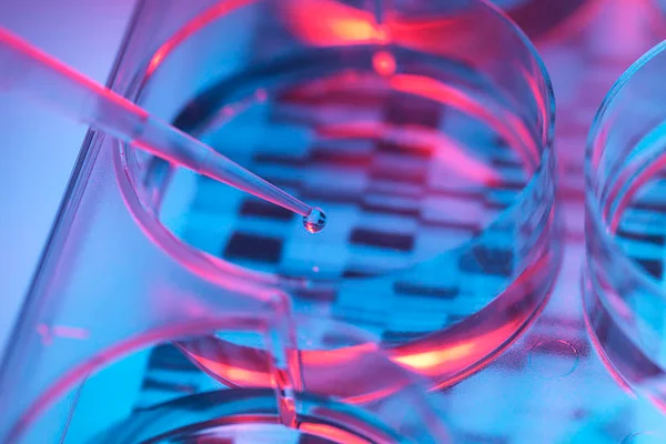 dna