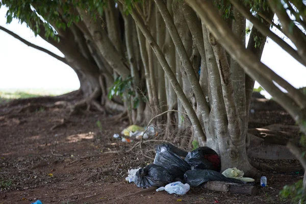 Moradores atacam ações na Orla do Lago Paranoá em audiência pública