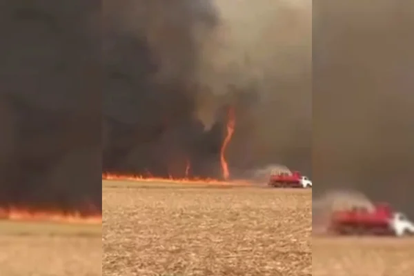 O incêndio florestal atingiu uma área próxima à Apae de Lençóis Paulista. As chamas se espalharam rapidamente devido às condições climáticas - Metrópoles