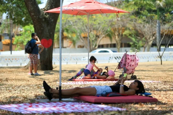 Sete programas para se fazer no Distrito Federal neste Natal (25/12)