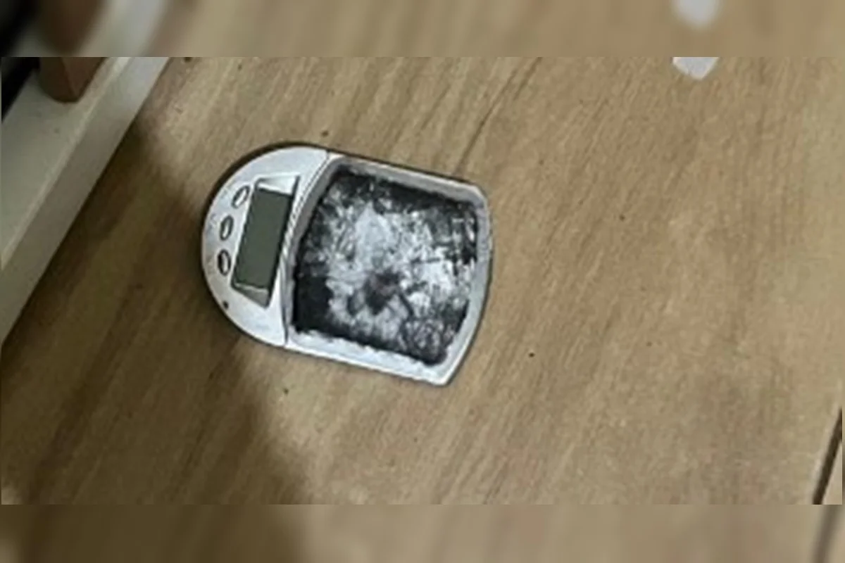 Balança de precisão Balança de precisão