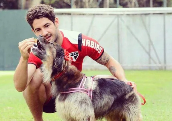 Conheça os cachorros dos jogadores de futebol