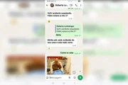 Print de mensagem anexada ao processo contra Roberta Luchsinger Print de mensagem anexada ao processo contra Roberta Luchsinger