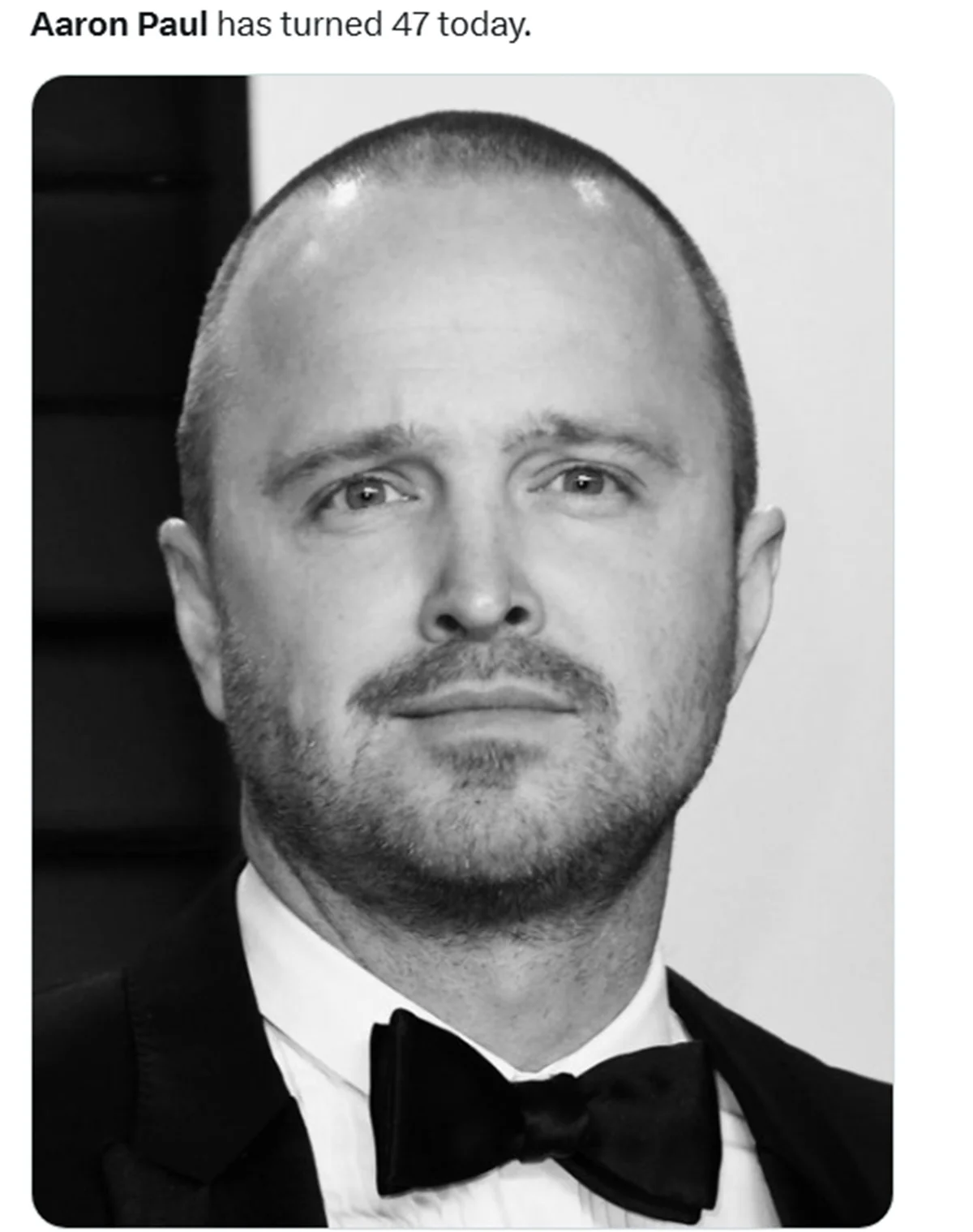 Rumores sobre morte de Aaron Paul dominam a web Rumores sobre morte de Aaron Paul dominam a web
