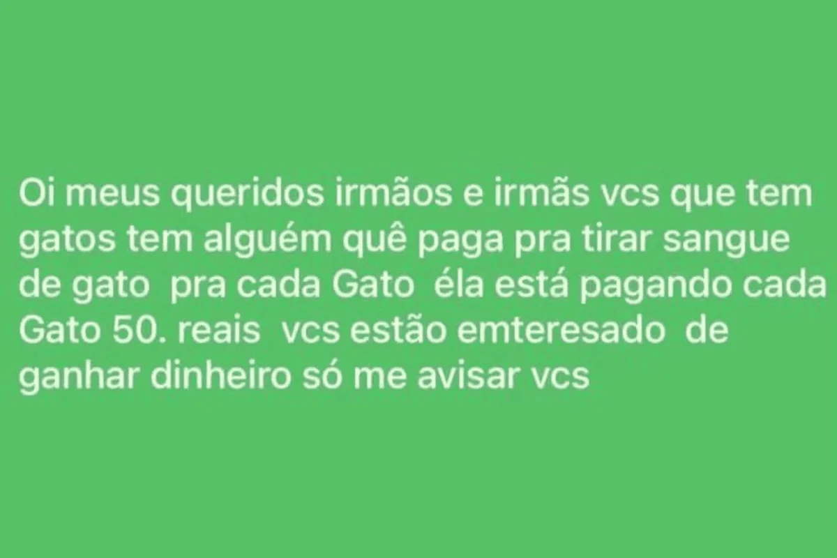 Suspeitos buscavam por tutores dispostos a vender o sangue dos animais através das redes sociais e ofereciam quantia de R$ 50 pelo serviço Suspeitos buscavam por tutores dispostos a vender o sangue dos animais através das redes sociais e ofereciam quantia de R$ 50 pelo serviço