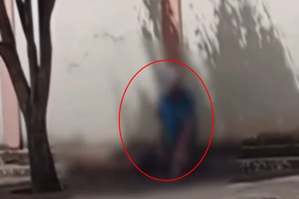 Homem se masturba em frente a comércio enquanto encara vendedora