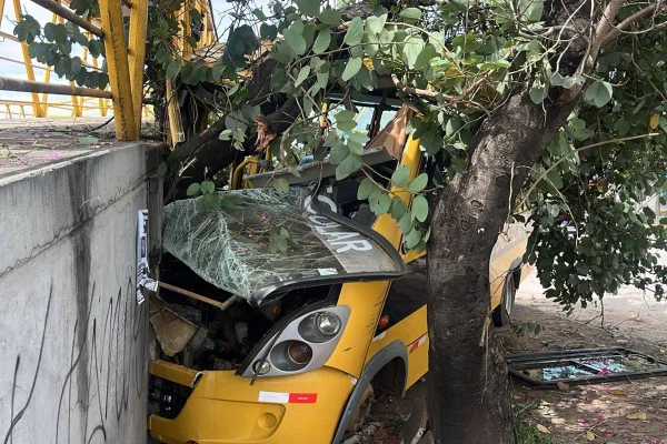 Acidente, ônibus escolar EPIA