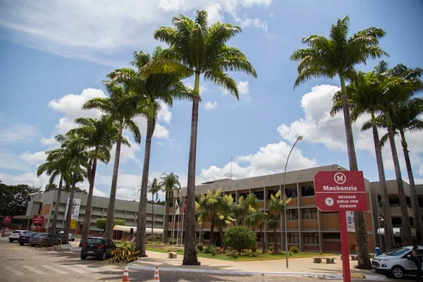 Qualificação profissional: Mackenzie Brasília realiza cursos gratuitos