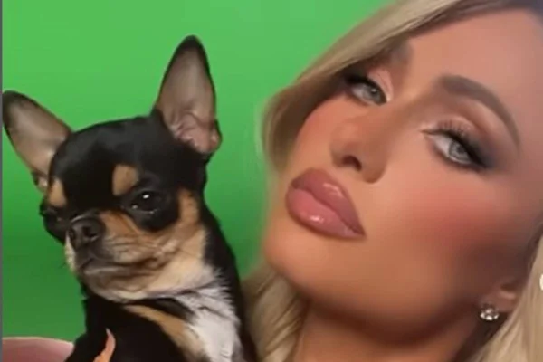 Paris Hilton oferece “grande recompensa” para encontrar pet perdido