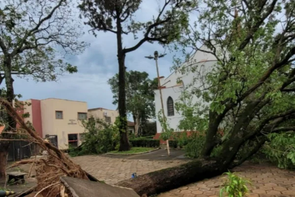 Ventania causa estragos no interior de São Paulo