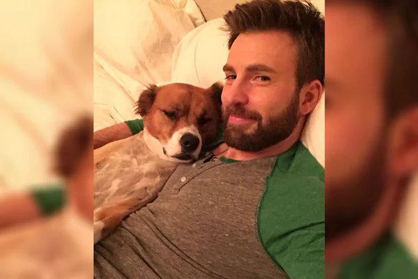 Chris Evans compartilha vídeo fofo de cachorro deslizando na neve