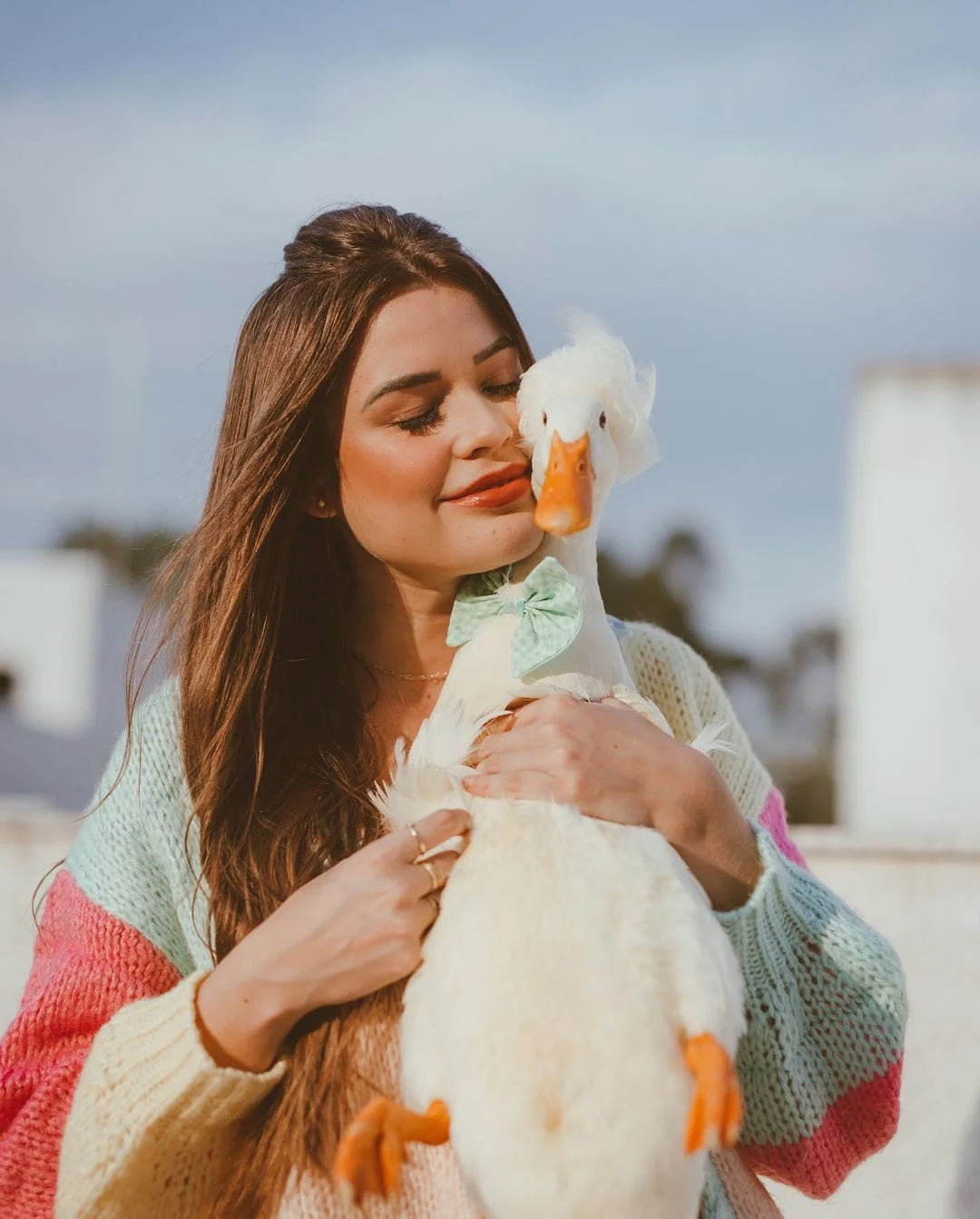 Influenciadora oferece recompensa de R$ 30 mil por pato desaparecido - imagem 4 Influenciadora oferece recompensa de R$ 30 mil por pato desaparecido - imagem 4