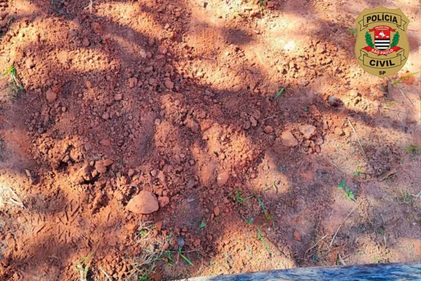 Imagem colorida mostra local onde recém-nascido foi enterrado após aborto. Metrópoles