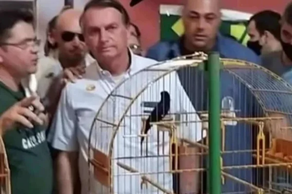 Agora vai: Bolsonaro vai a competição de pássaros em extinção
