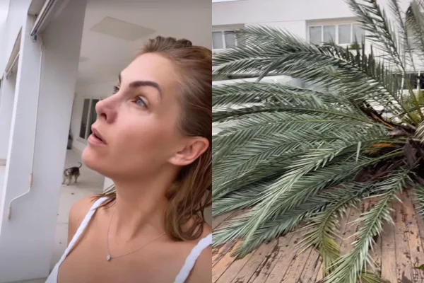 Ana Hickmann relata susto após árvore quase cair em cima de sua casa
