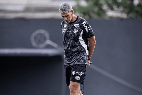 Vojvoda, técnico do Santos